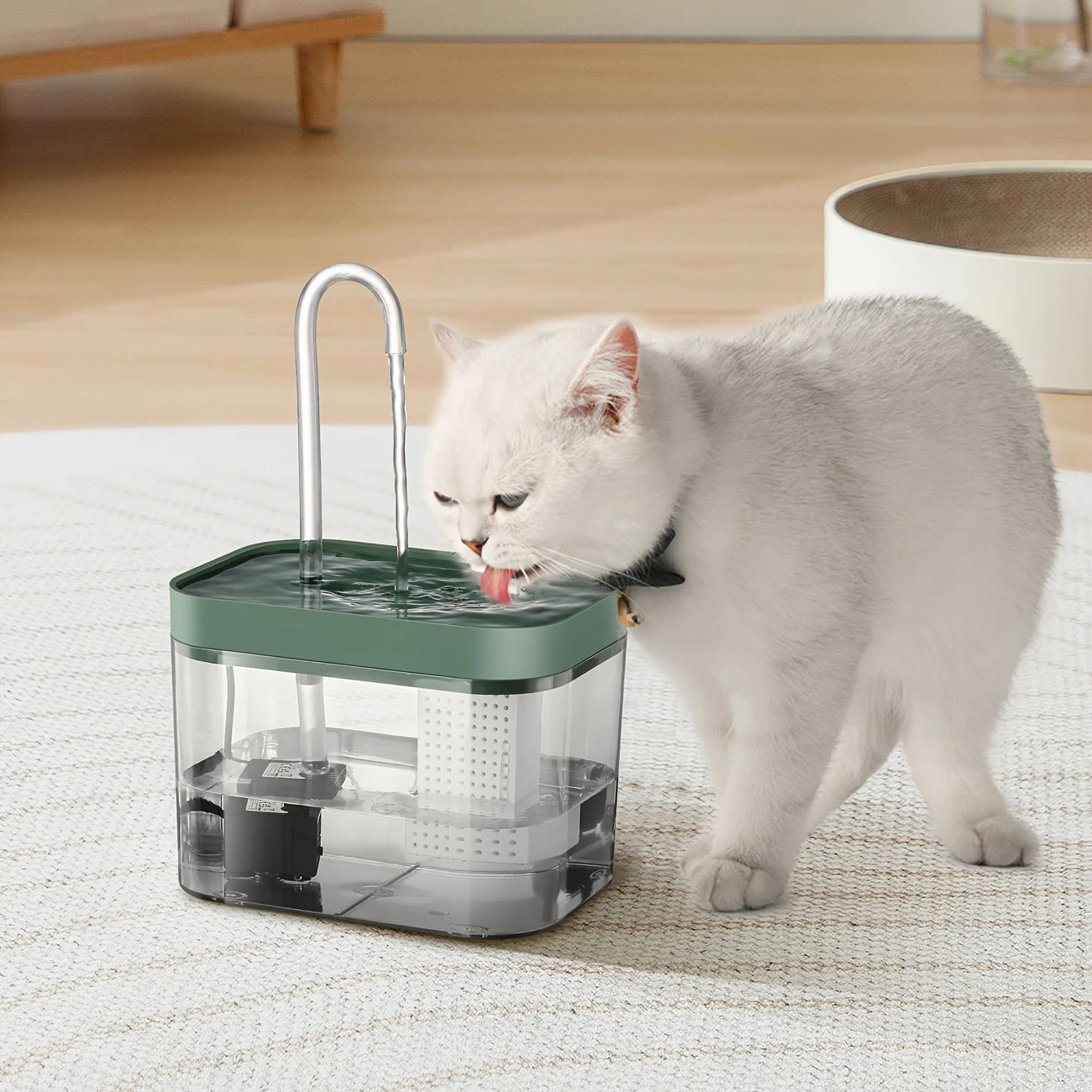 Dispenser d'acqua automatico per animali